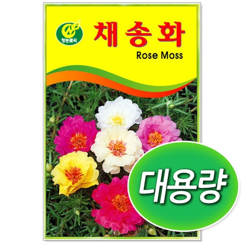 [CNS] ◆ 대용량 채송화 50g/100g 꽃씨앗