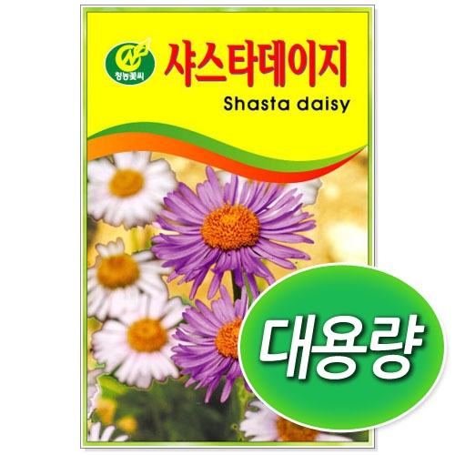 [CNS] ◆ 대용량 샤스타데이지 100g/300g 꽃씨앗
