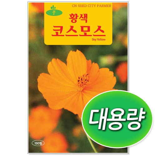 [CNS] ◆ 대용량 황색코스모스 100g 꽃씨앗