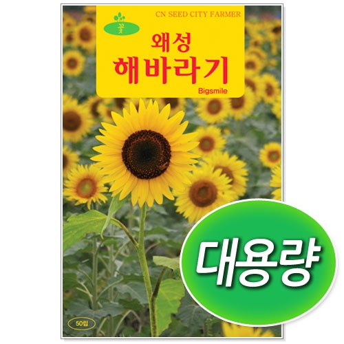 [CNS] ◆ 대용량 왜성해바라기 100g 꽃씨앗