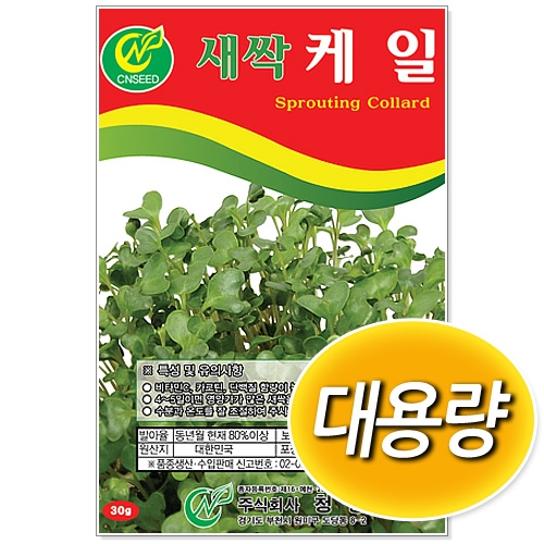 [CNS] 대용량 새싹케일 500g/1kg 새싹씨앗