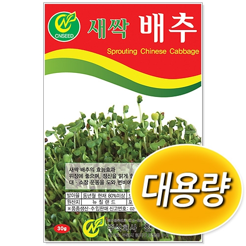 [CNS] 대용량 새싹배추 500g/1kg 새싹씨앗