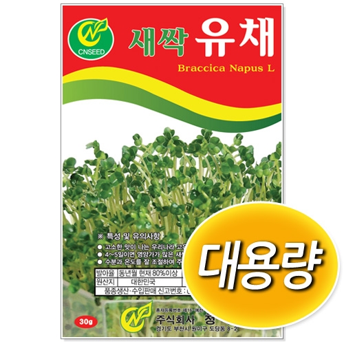 [CNS] 대용량 새싹유채 500g/1kg 새싹씨앗
