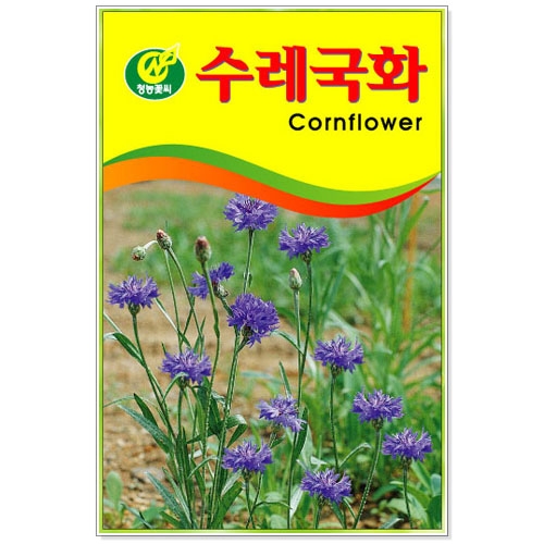 [CNS] ◆ 꽃씨 수레국화 40립